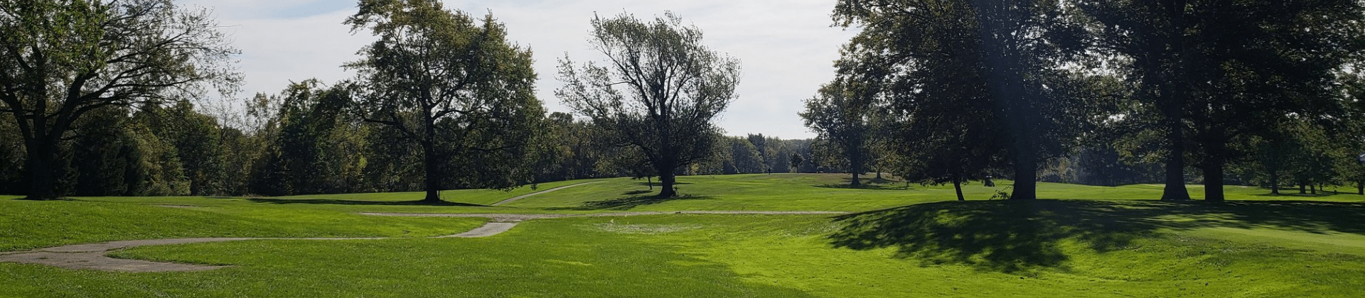 golf course with trees